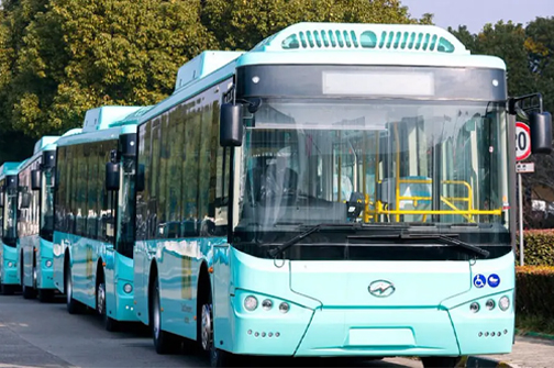 পাকিস্তানের রাজধানীতে সব গণপরিবহনের ভাড়া ফ্রি ঘোষণা