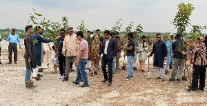  পূর্বাচলে প্রবাসী পল্লী প্রকল্পে বৃক্ষরোপণ কর্মসূচি